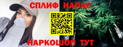 трава Партизанск