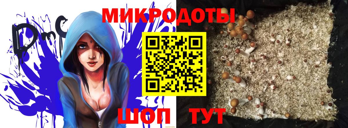 Галлюциногенные грибы Psilocybine cubensis Родники