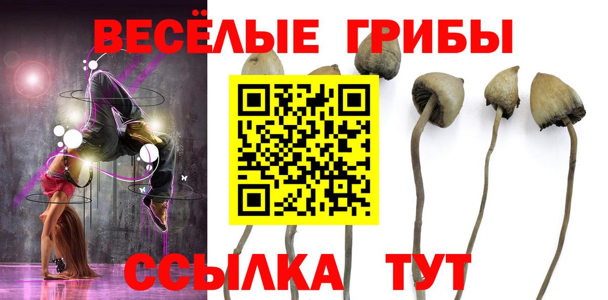 Родники  Галлюциногенные грибы Magic Shrooms  Вход с VPN 
